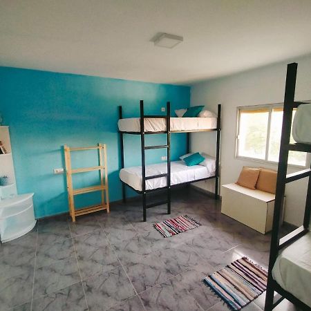 Open Mind Hostel 알칼라 라 레알 외부 사진